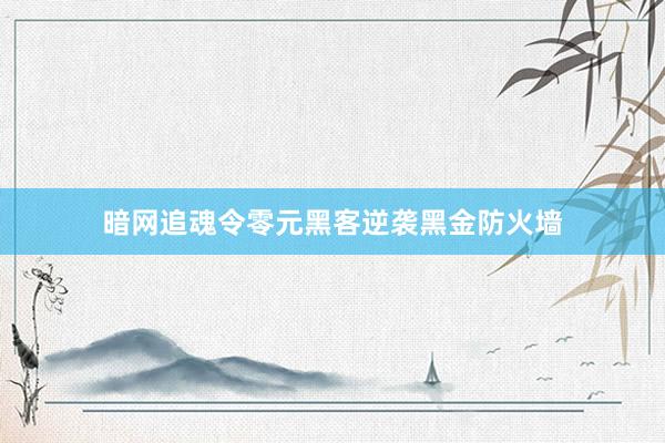 暗网追魂令零元黑客逆袭黑金防火墙