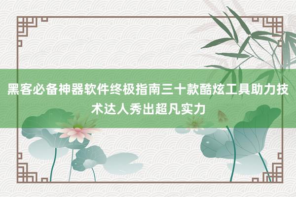黑客必备神器软件终极指南三十款酷炫工具助力技术达人秀出超凡实力